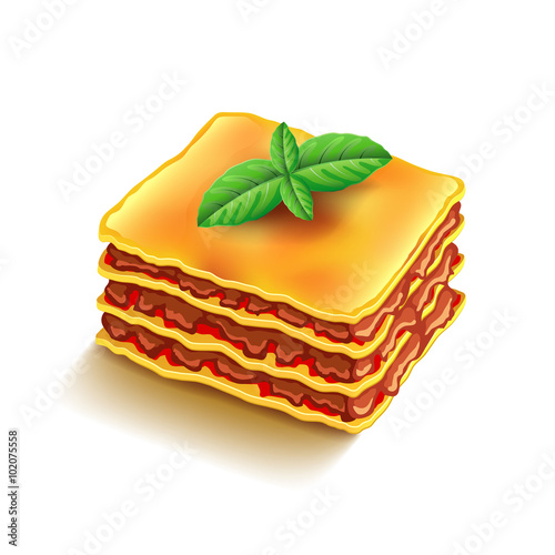 Lasagna isolated on white vector