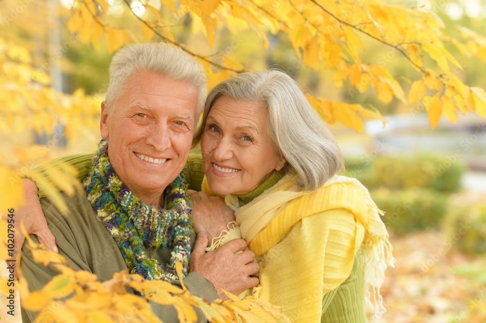 Senior couple in autumn park Senior couple in autumn park