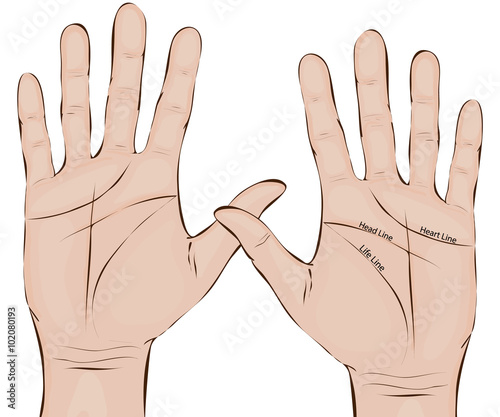 Palmistry. Hands. Two palms