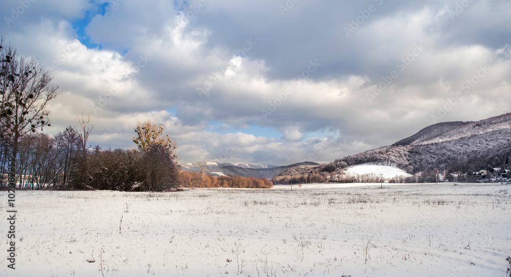 White winter landscape