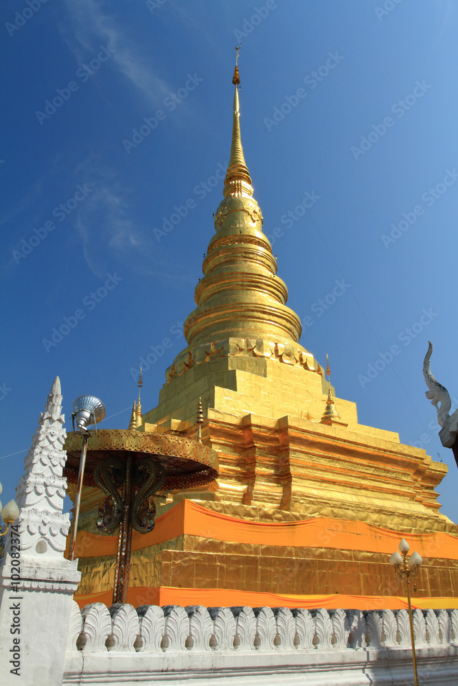 Fototapeta premium padoga