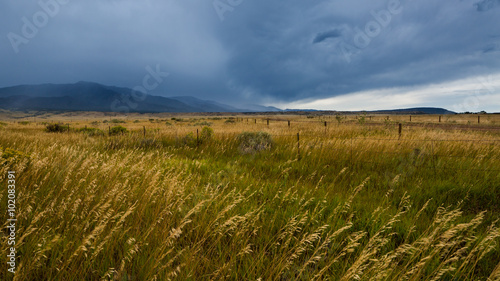 Wide open range in Alamosa County, Colorado