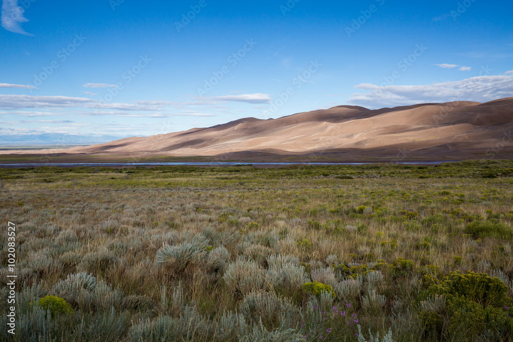 Great Sand Dunes National Park, Summer 2015 Great Sand Dunes National Park, Summer 2015
