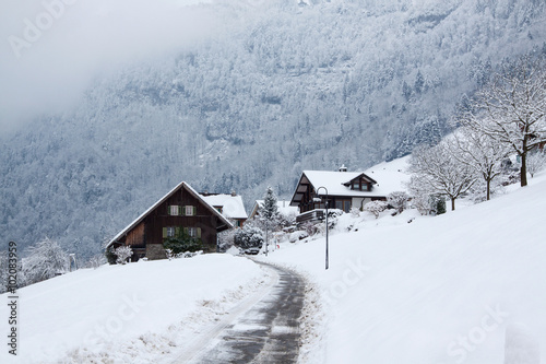 house in winter forest