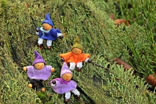 Wallpaper Mural Vier kleine Wichtel zwischen Flechten Torontodigital.ca