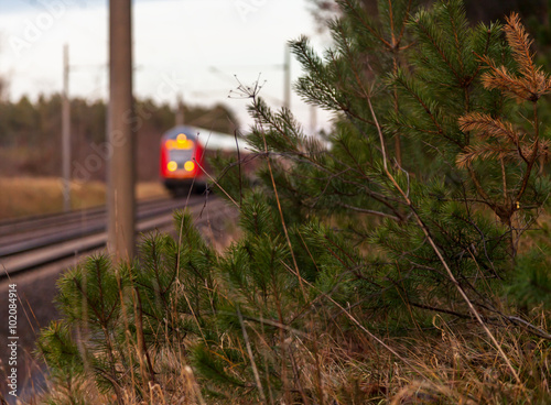 Regionalbahn am Wald