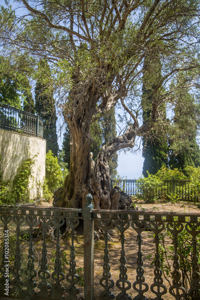 Fototapeta premium Garden of Achilleion, Corfu, Greece