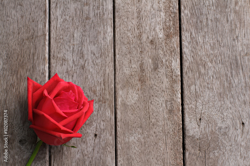 Valentine  s day background with rose on wooden.