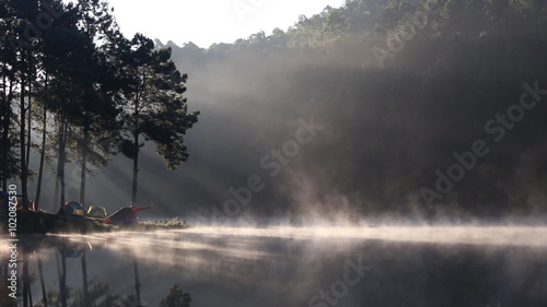 Fog on the forest camping morning lake