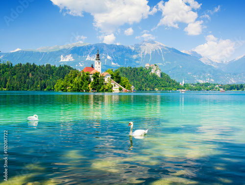 Lake Bled with swan, Slovenia, Europe photo