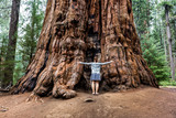 Girl in Sequoia National Park