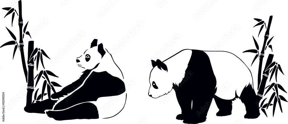 panda with bamboo panda with bamboo