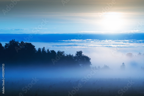 Fototapeta Naklejka Na Ścianę i Meble -  Picturesque misty sunrise landscape. Foggy morning meadow,