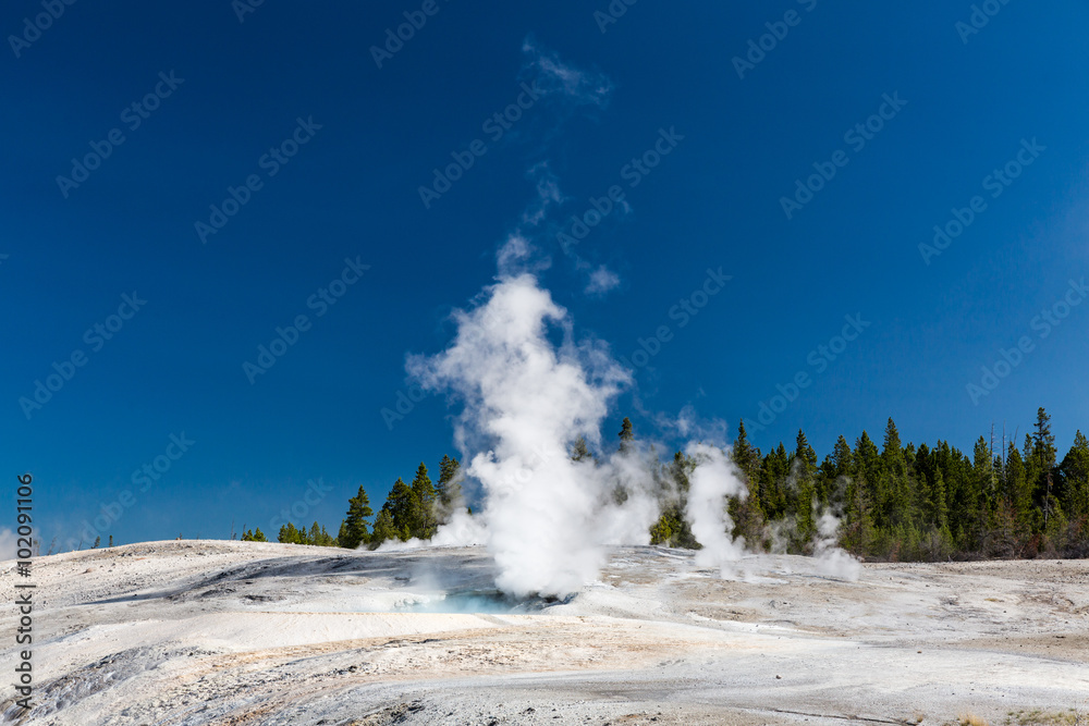 Norris Geyser​ in Yellowstone National Park, USA