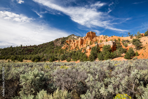 Dixie National Forest - Red Canyon  Utah