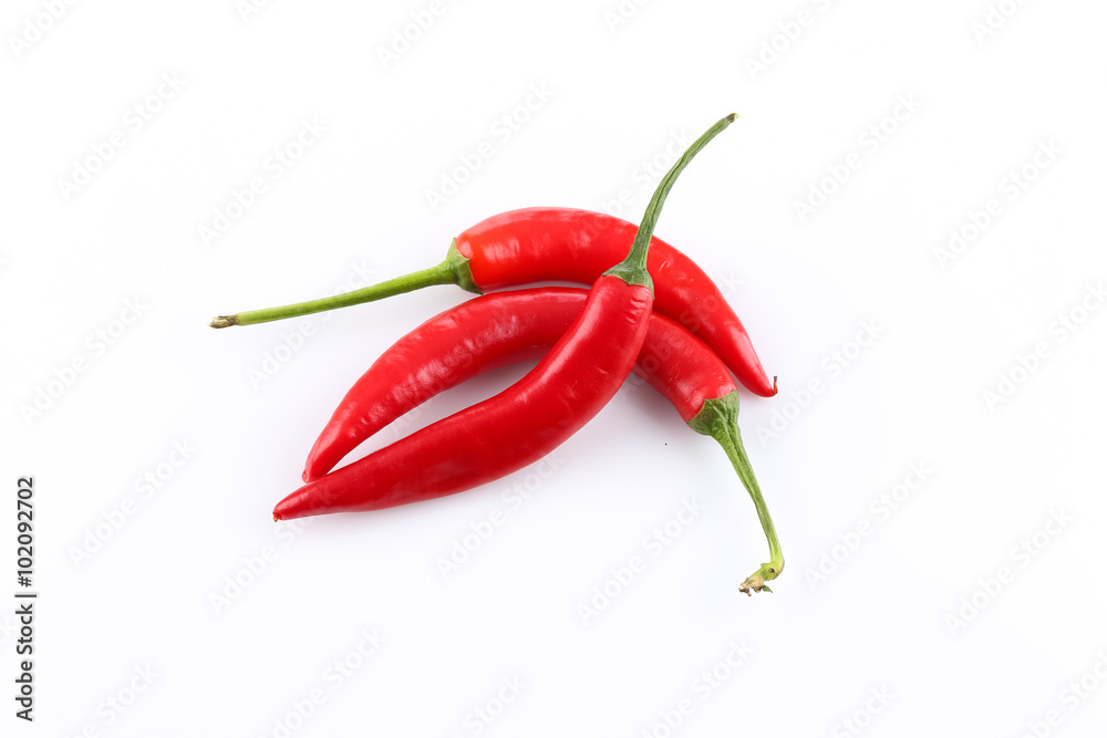 chili pepper chili pepper