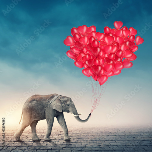 Photography Elephant with red balloons
