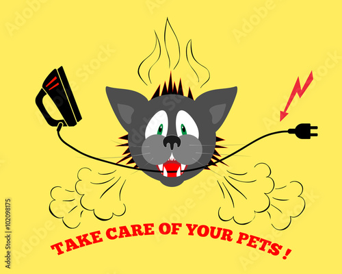 Cats head bite electrical wire, cable. Care of pets. Danger info illustration. Pets insurance symbol. Vector