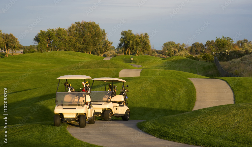 Pair of Golf Carts