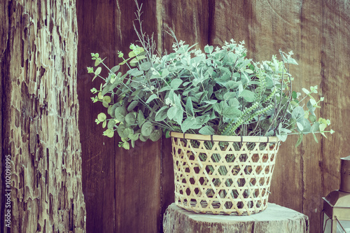 Plant vase