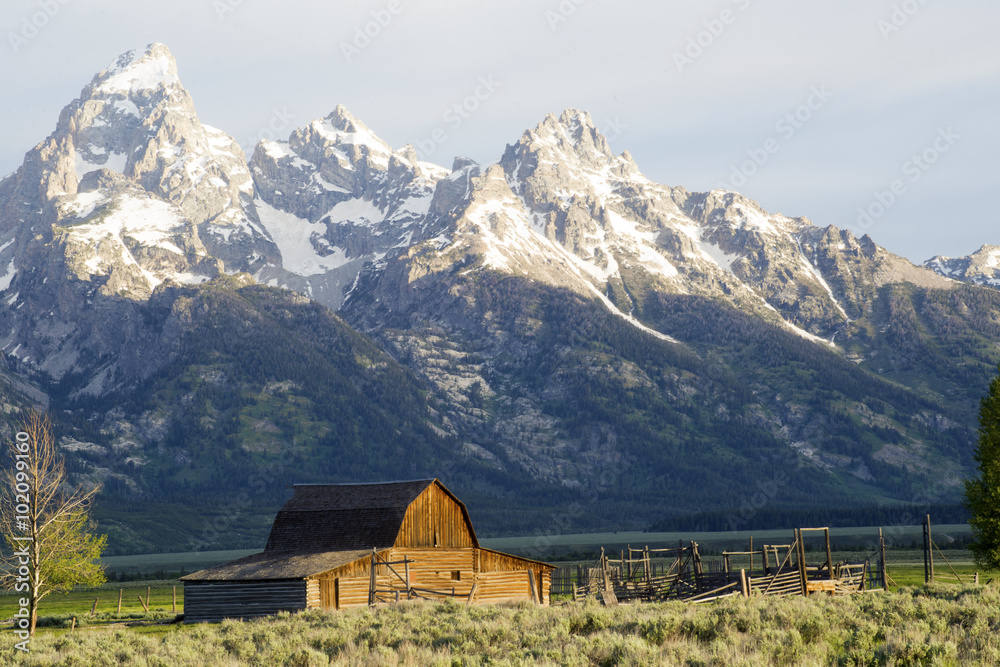 Famous historic barn in The GRand Tetons.