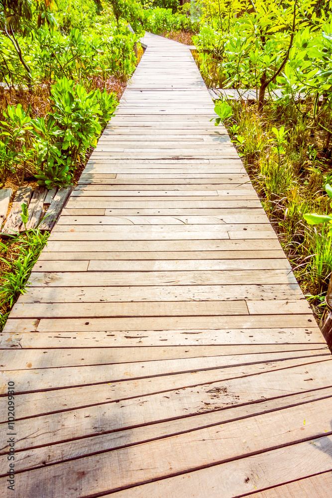Wooden path for walking