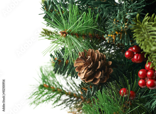 Fragment of a Christmas tree isolated