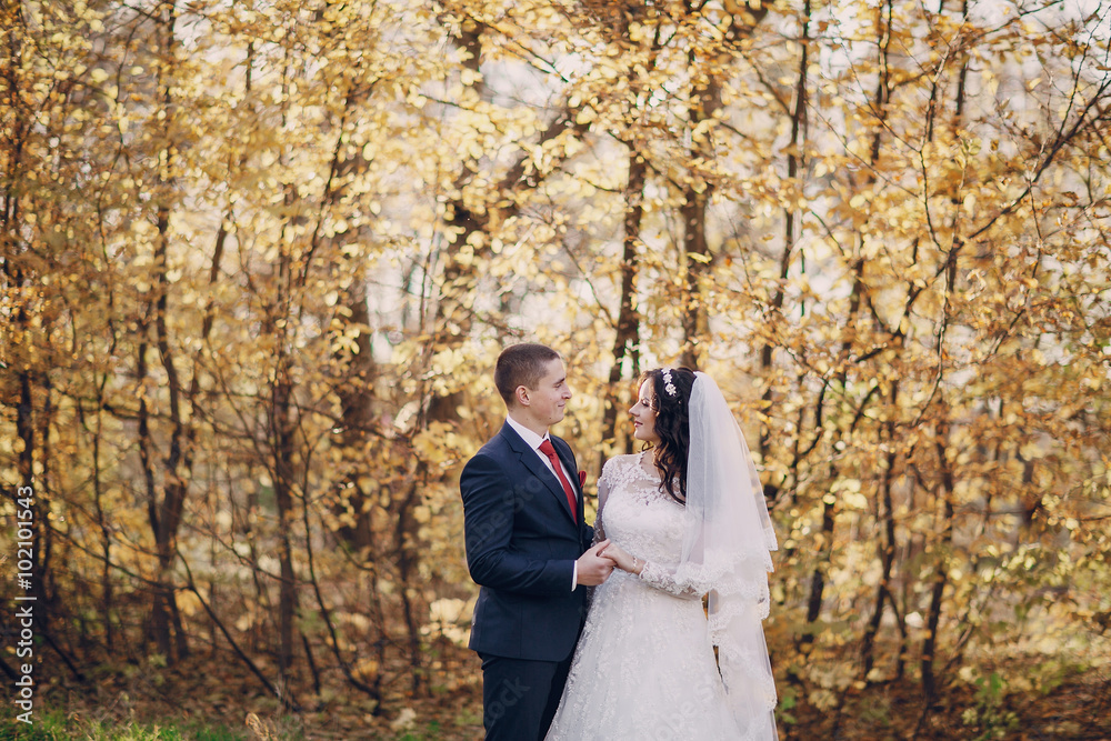 wonderful wedding day