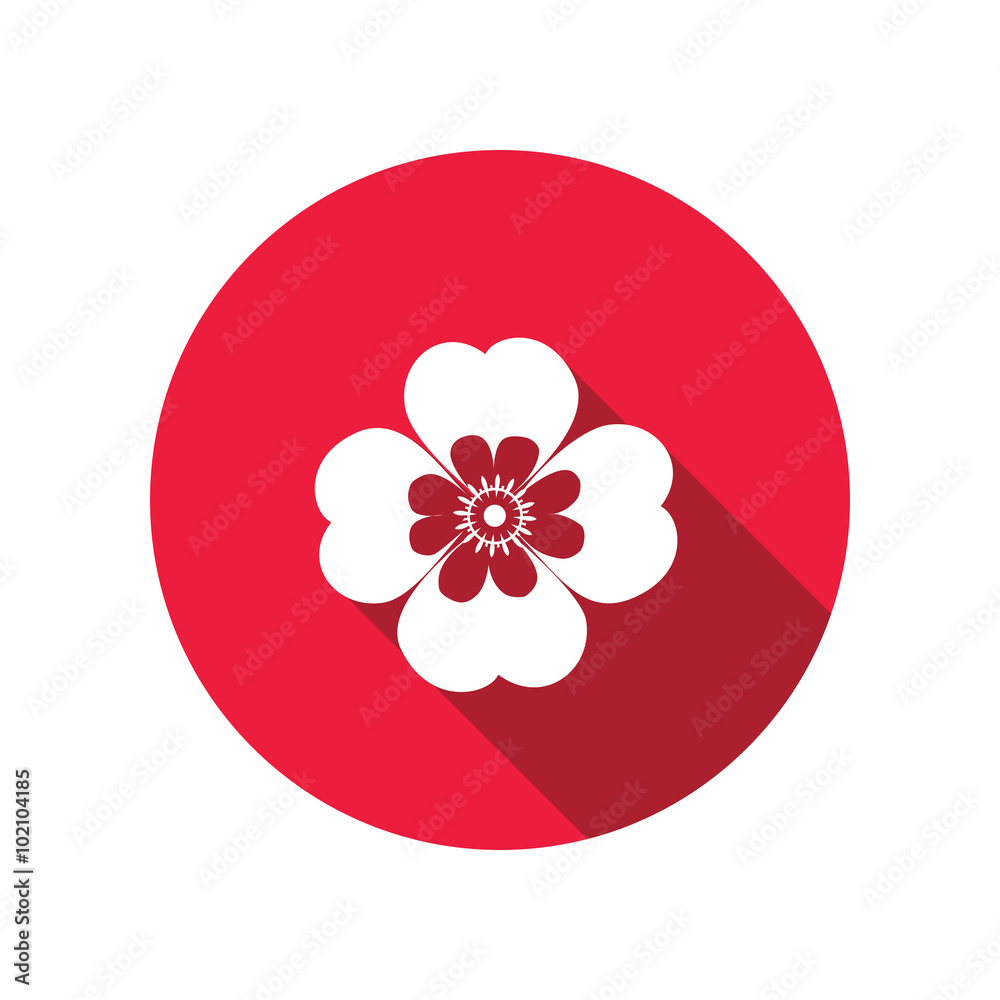Chamomile, forget-me-not flower icons. Floral symbol. Round circle flat icon with long shadow. Vector