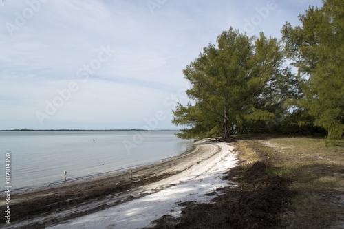 Fototapeta Naklejka Na Ścianę i Meble -  Tidal beach of Gulf of Mexico, St Petersburg, Florida