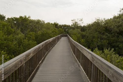 Fototapeta Naklejka Na Ścianę i Meble -  Wooden bridge on tourist trail through mangrove forest, Everglades