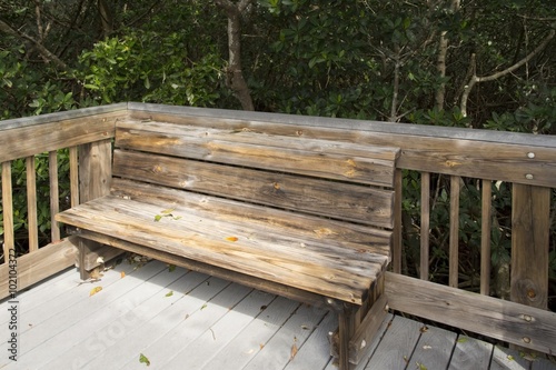 Wooden bank on a tourist trail through mangrove forest