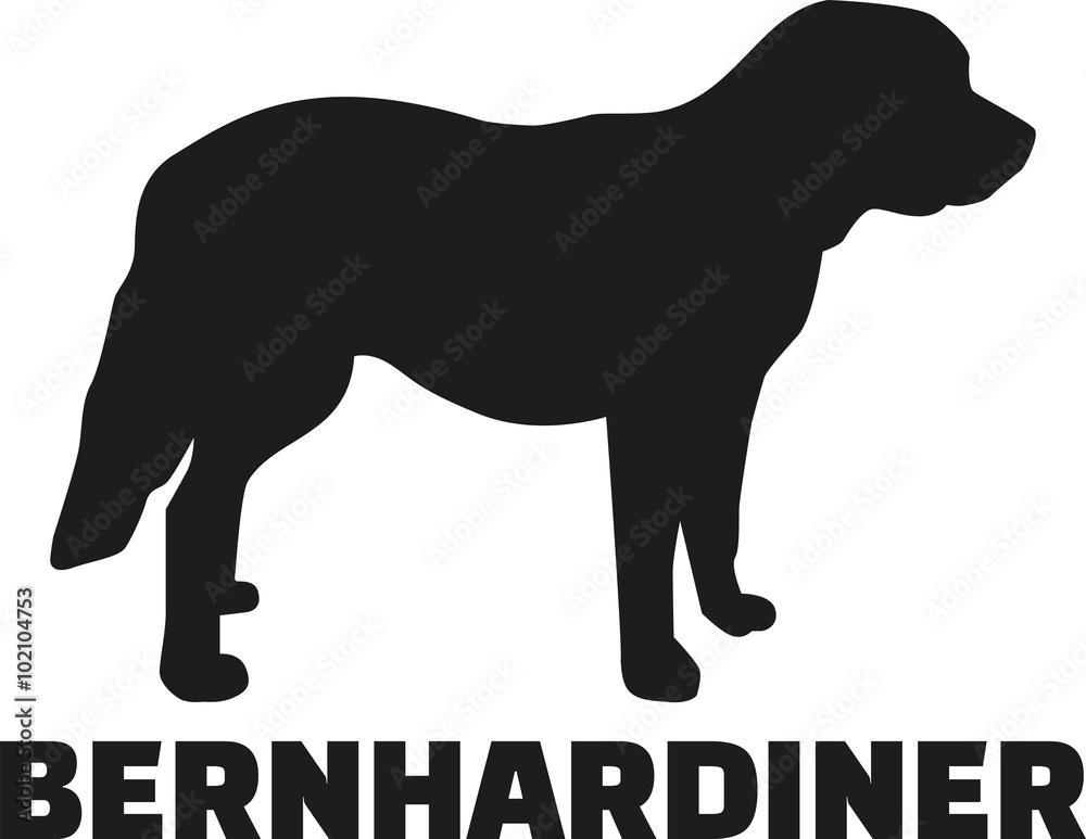 St. Bernard dog with german breed name