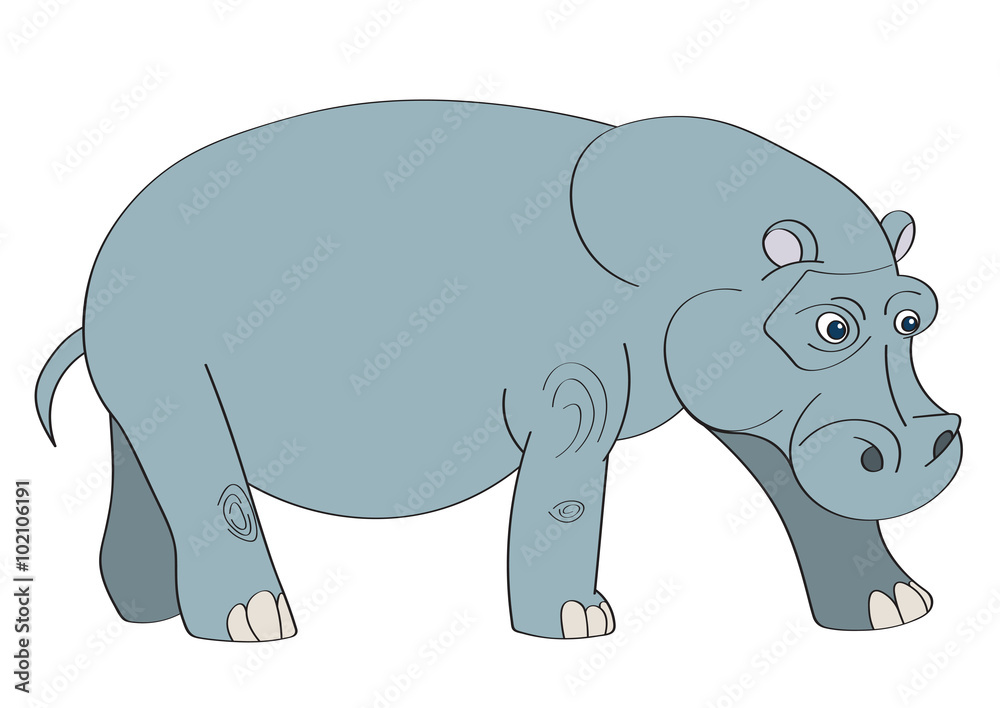 Illustration of a hippopotamus