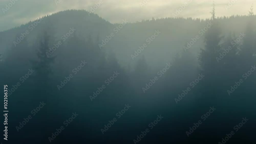 Foggy Forested Mountains at Sunset Foggy Forested Mountains at Sunset