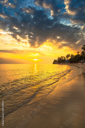 Fabulously peaceful sandy beach sunset with green foliage and st