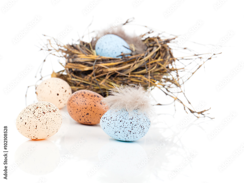 Obraz premium Easter eggs in bird nest isolated on white background