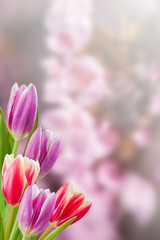 Holiday Nature Floral Background