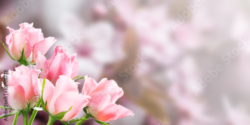 Holiday Nature Floral Background