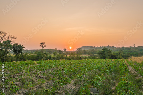 Beautiful sunset above the mounten and trees at countryside thailand - twilight sky 