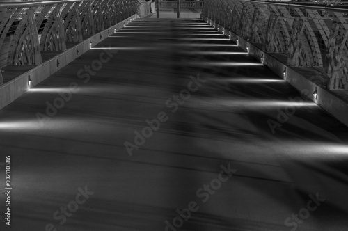 Black and white walkway dock with lights