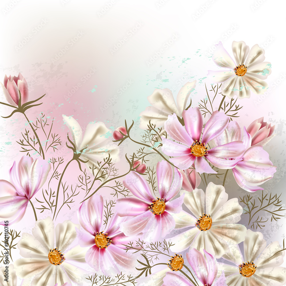 Background or illustration with cosmos  flowers in retro style