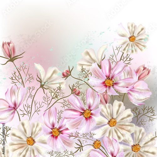Background or illustration with cosmos  flowers in retro style © Mary fleur