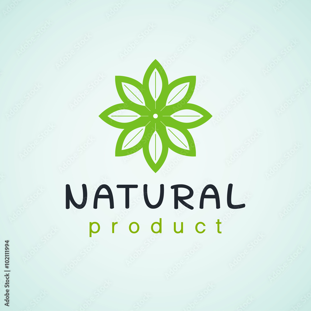 Natural product logo design template . Branch with green leaves