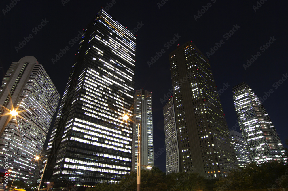 Fototapeta premium 新宿の夜景