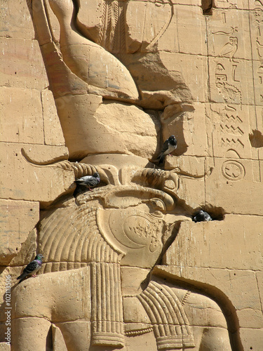 Obraz na płótnie altägyptischer Falkengott Horus mit nistenden Tauben im Relief