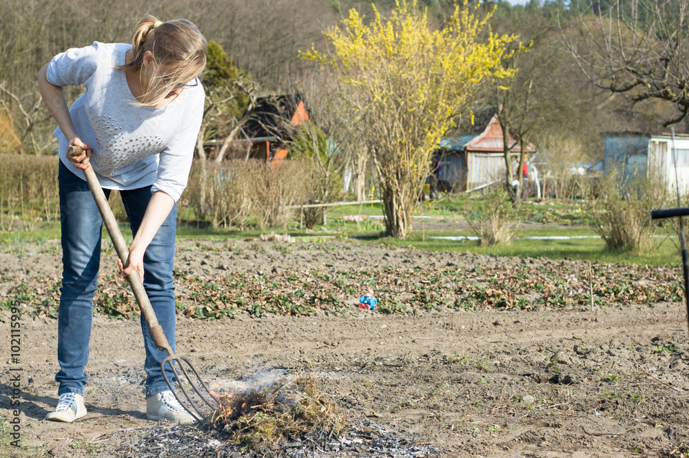 Spring cleaning in the garden, young woman with forks burning dry grass - obrazy, fototapety, plakaty 