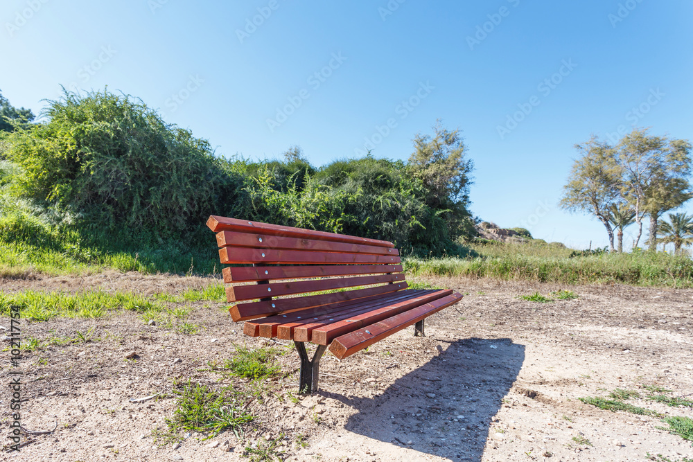 Single bench in forest