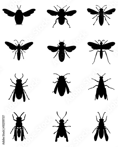 Black silhouettes of bees and wasps, vector photo