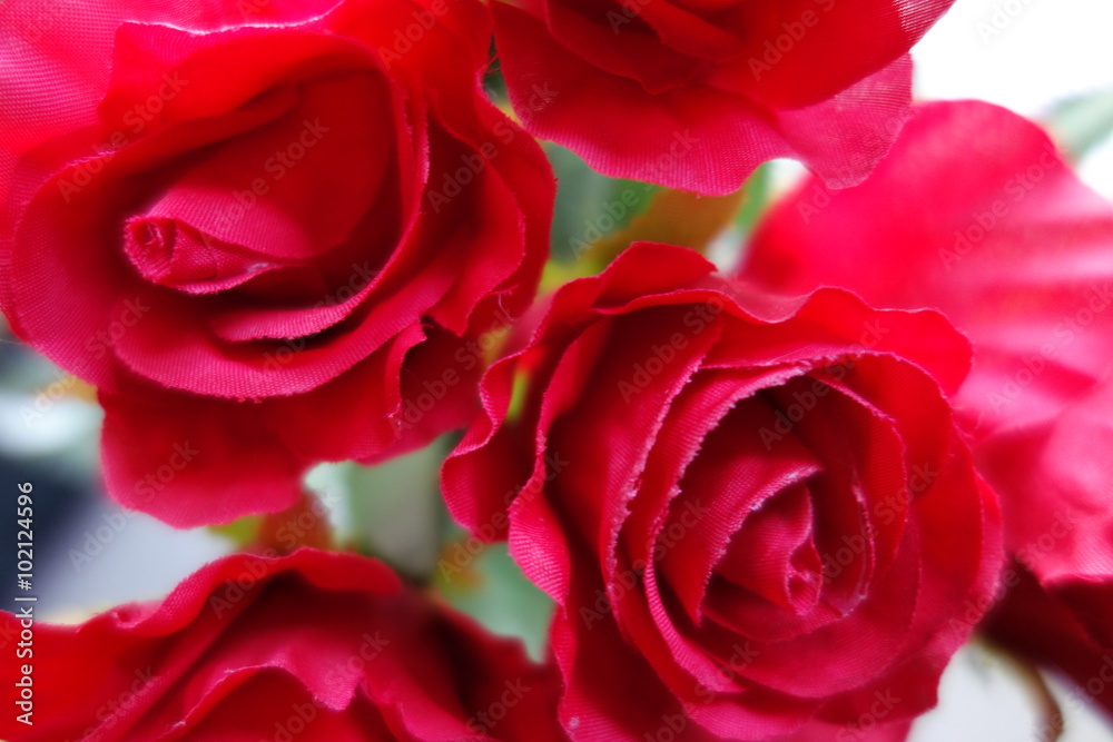 composition of bright red roses